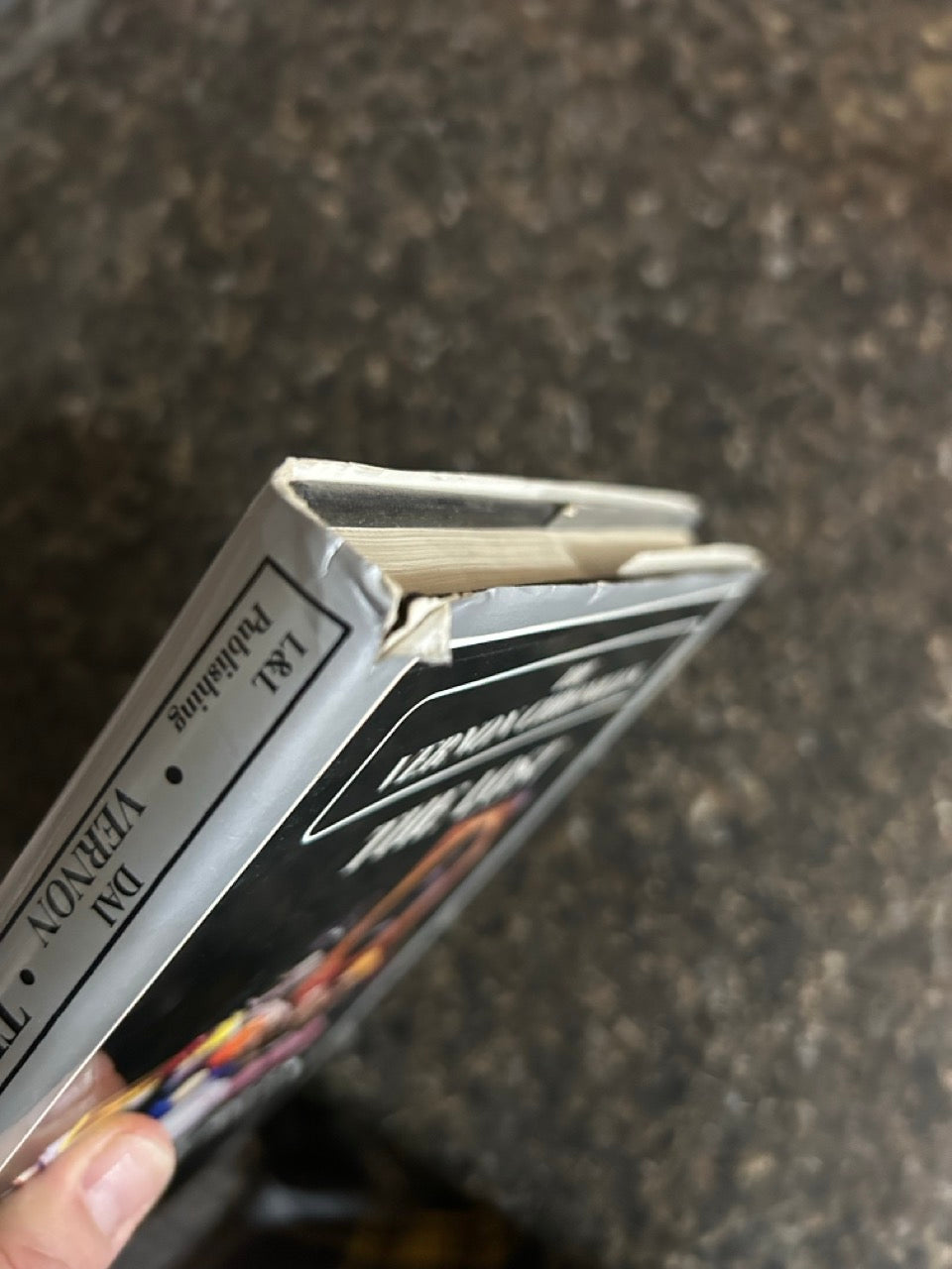 Vernon Chronicles Vol.1: The Lost Inner Secrets - Stephen Minch