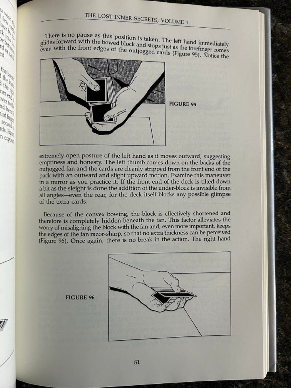 Vernon Chronicles Vol.1: The Lost Inner Secrets - Stephen Minch