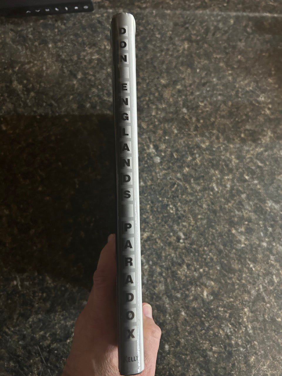 Don England's Paradox (book only) - Kevin Kelly - USED