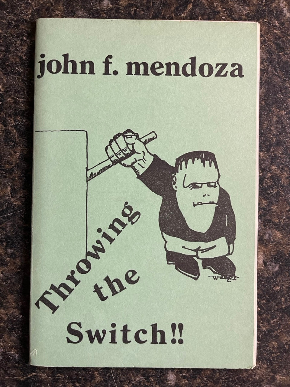 Throwing the Switch!! - John F. Mendoza