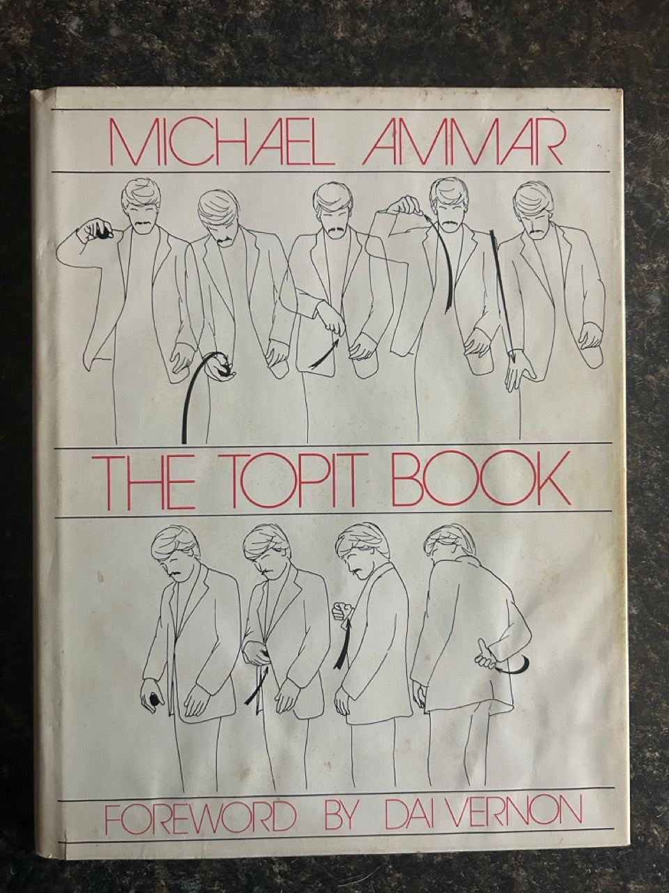 The Topit Book - Michael Ammar