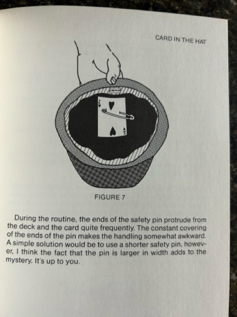 The Tipnician - Bob Chesbro