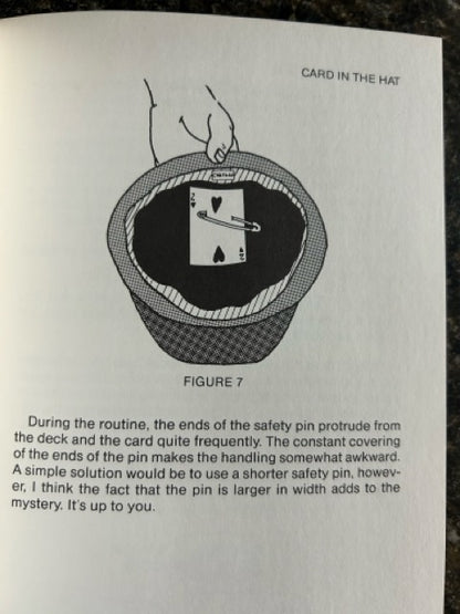 The Tipnician - Bob Chesbro