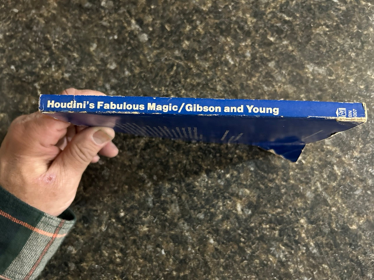 Houdini's Fabulous Magic - Walter Gibson & Morris Young