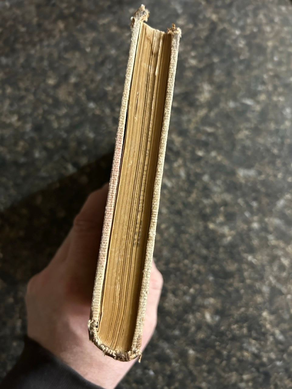 Author Ridgely The Old And The New Magic - Henry Ridgely Evans – Don's Magic & Books