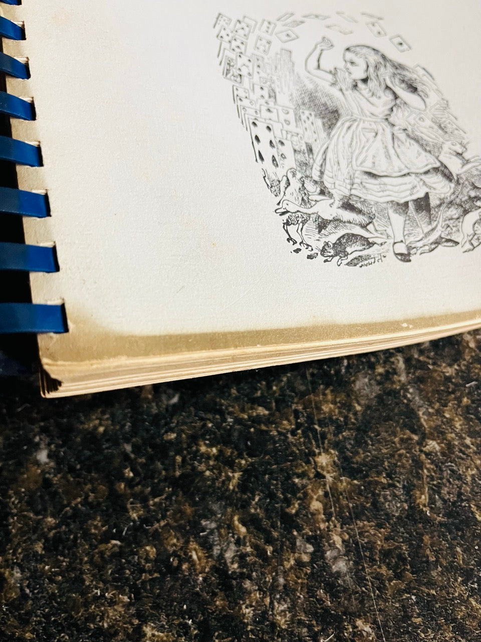 Faro & Riffle Technique - Karl Fulves