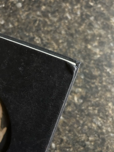 Houdini Art & Magic - Brooke Kamin Rapaport