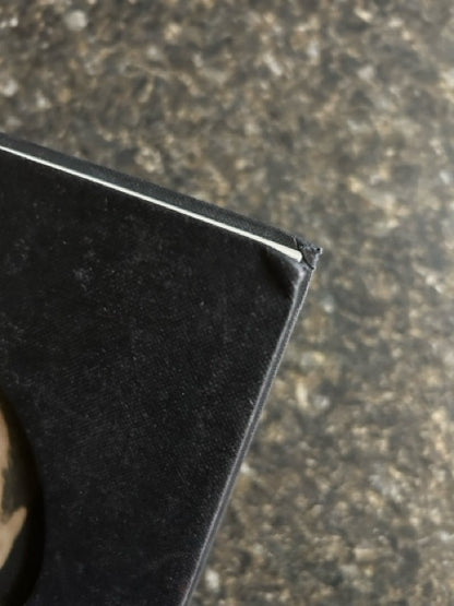 Houdini Art & Magic - Brooke Kamin Rapaport