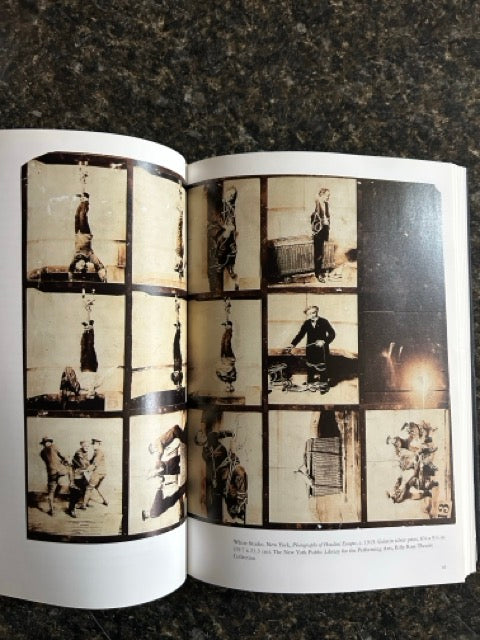 Houdini Art & Magic - Brooke Kamin Rapaport