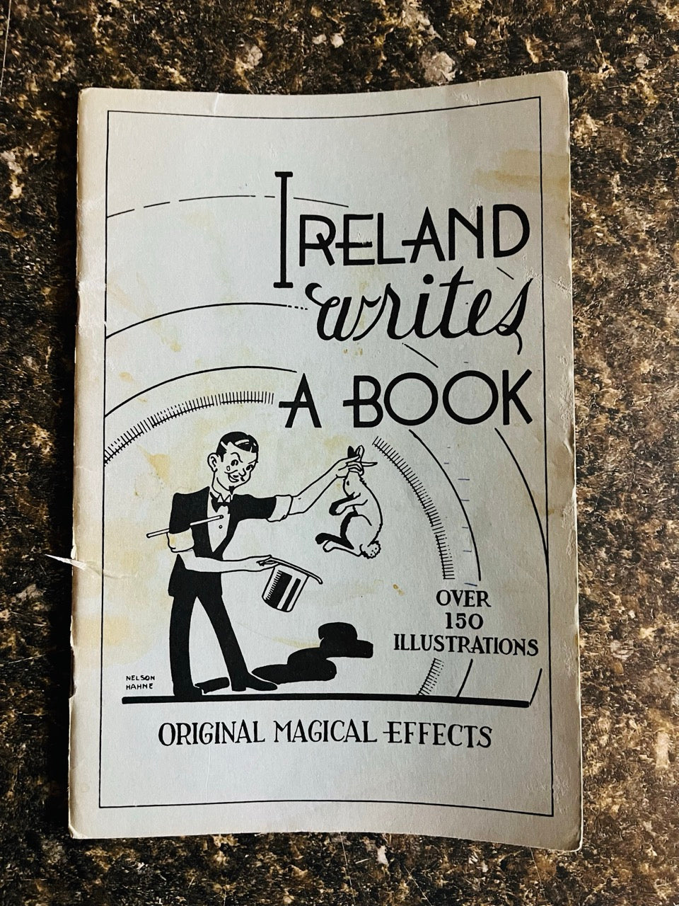 Ireland Writes A Book