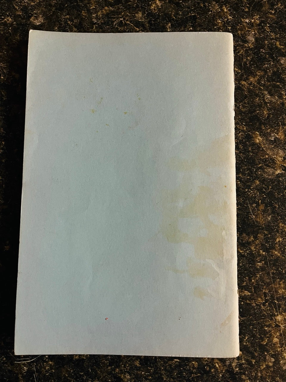 Ireland Writes A Book