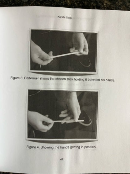 Performing Mentalism for Young Minds, Vol.2 - Paul Romhany
