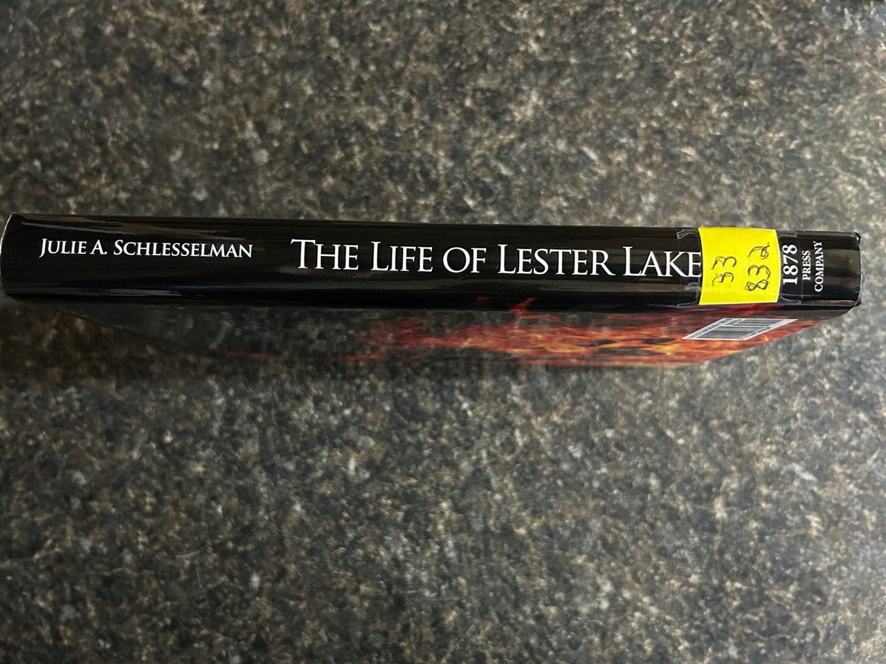 Buried Alive Every Afternoon Burned Alive Every Evening, The Life of Lester Lake - Julie A. Schlesselman