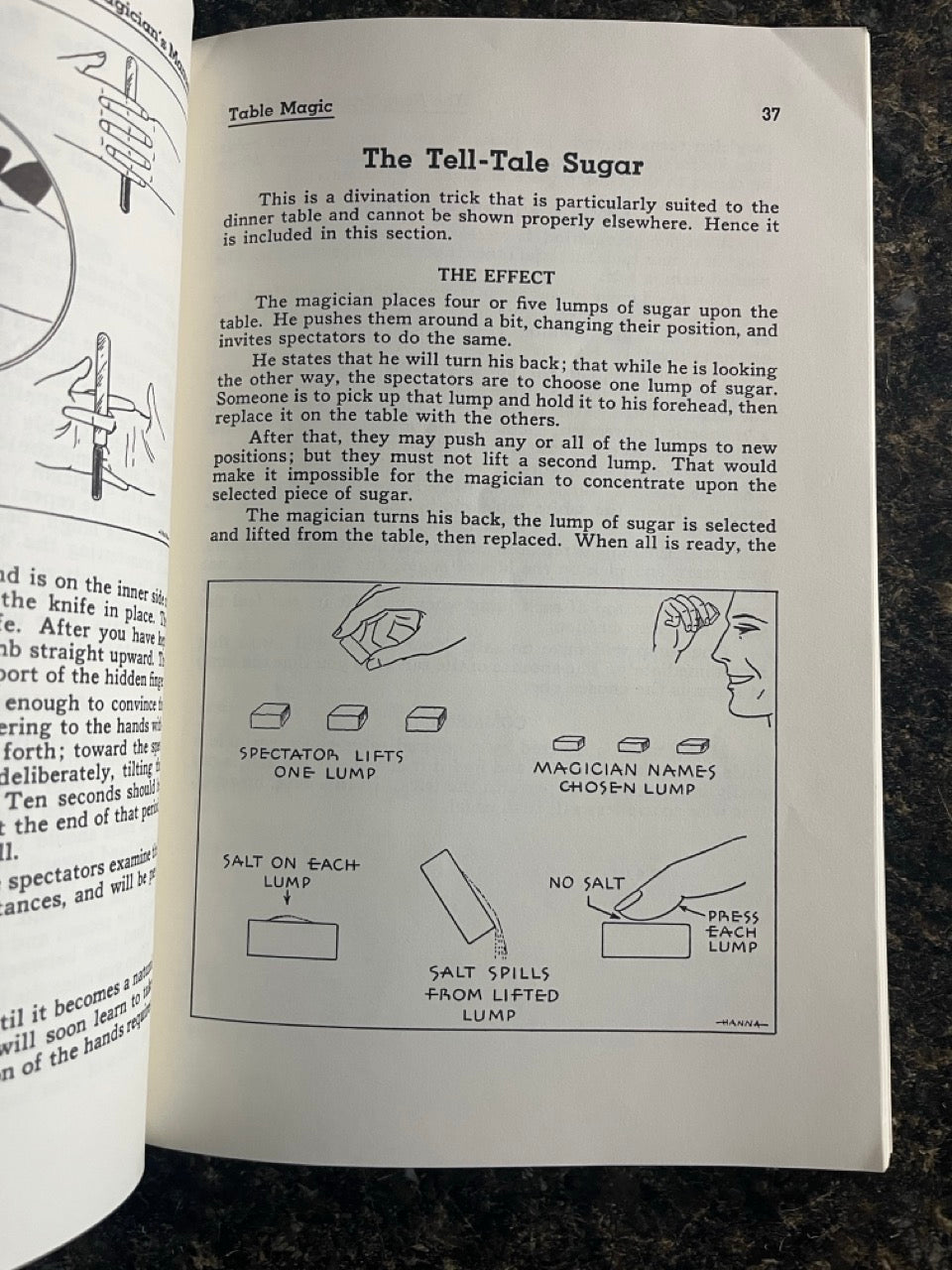 The New Magician's Manual (Oversize Dover edition) - Walter B. Gibson