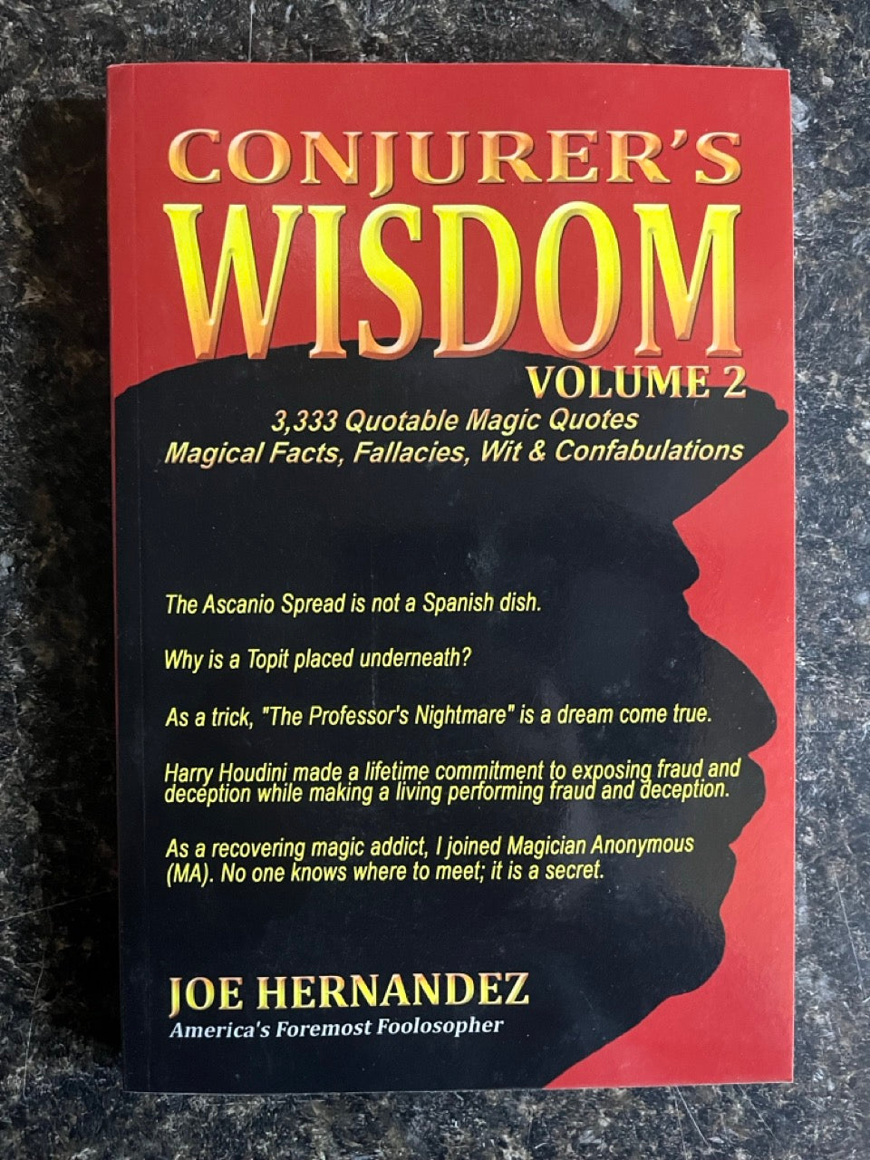 Conjurer's Wisdom, Vol. 2 - Joe Hernandez