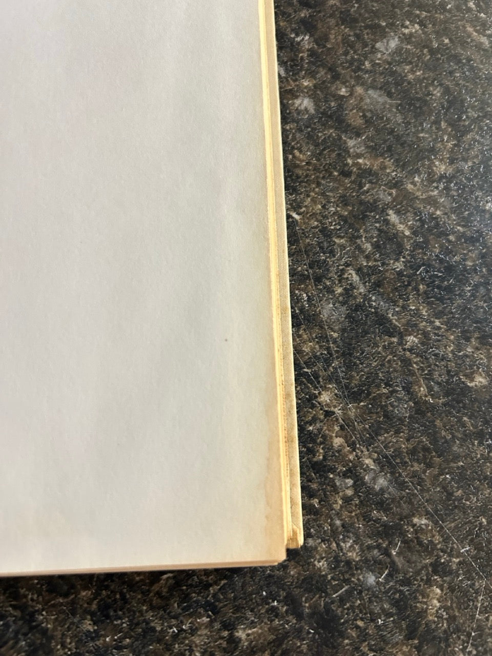 The Original Houdini Scrapbook - Walter B. Gibson