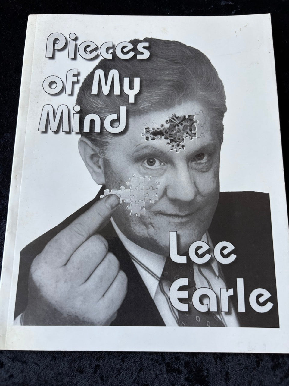 Pieces of My Mind - Lee Earle