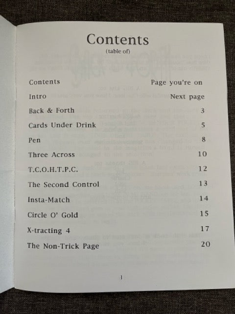The Lost Cheesy Notebooks Vols. 1 & 2 - Chad Long