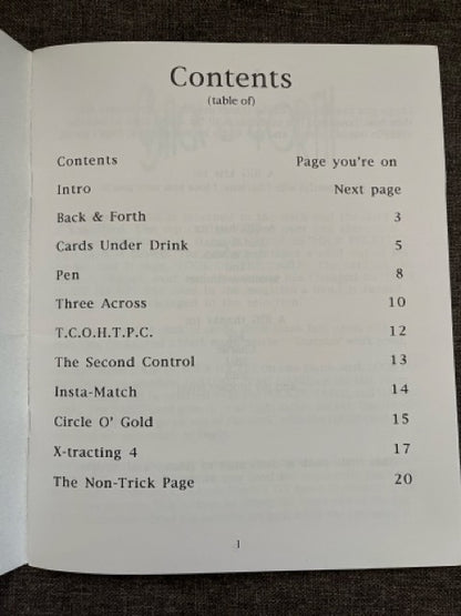 The Lost Cheesy Notebooks Vols. 1 & 2 - Chad Long
