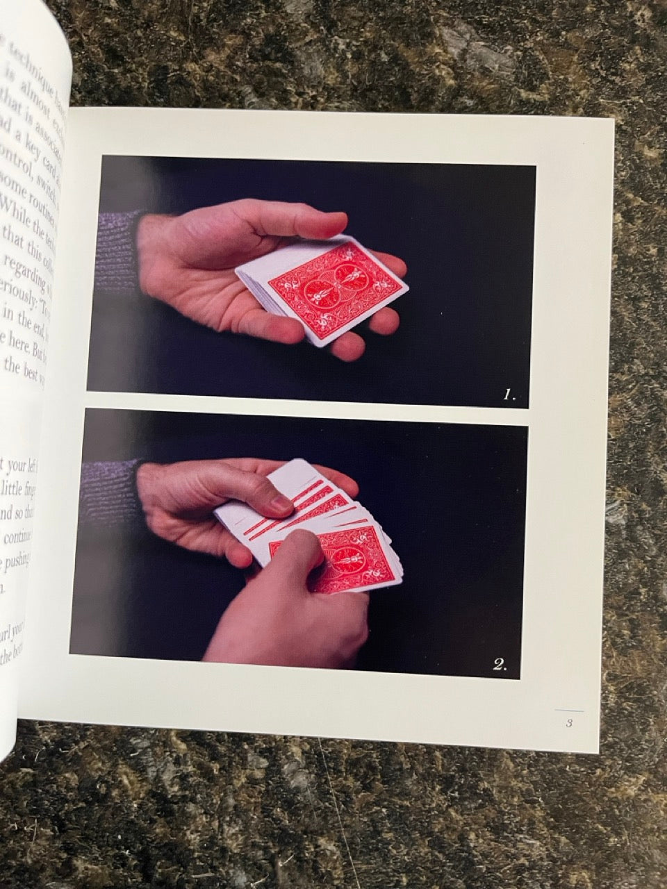The Reverse Cull - Andi Gladwin
