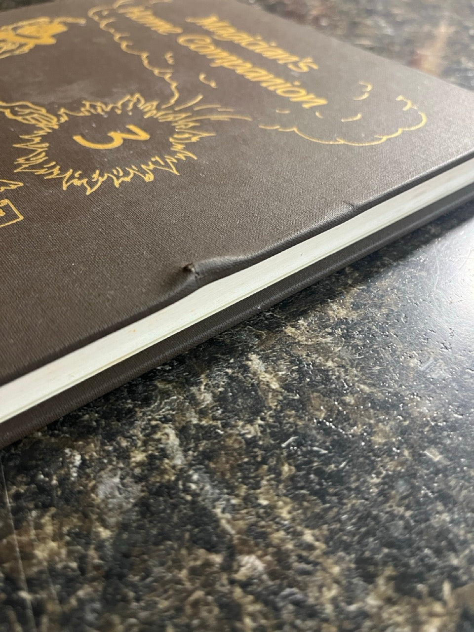 Magician's Home Companion #3 - Jim Klein