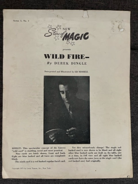 Wild Fire (New Stars of Magic Series 1, #1) - Derek Dingle
