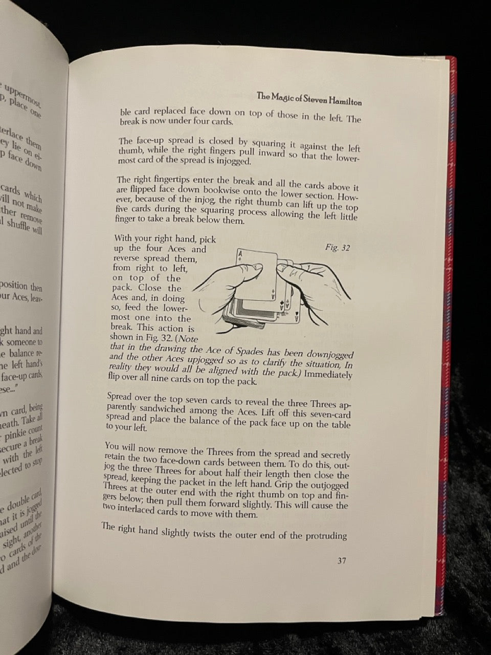 Steve Lindsey: The Magic of Steven Hamilton - Douglas Cameron