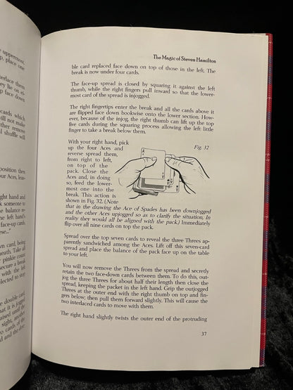 Steve Lindsey: The Magic of Steven Hamilton - Douglas Cameron