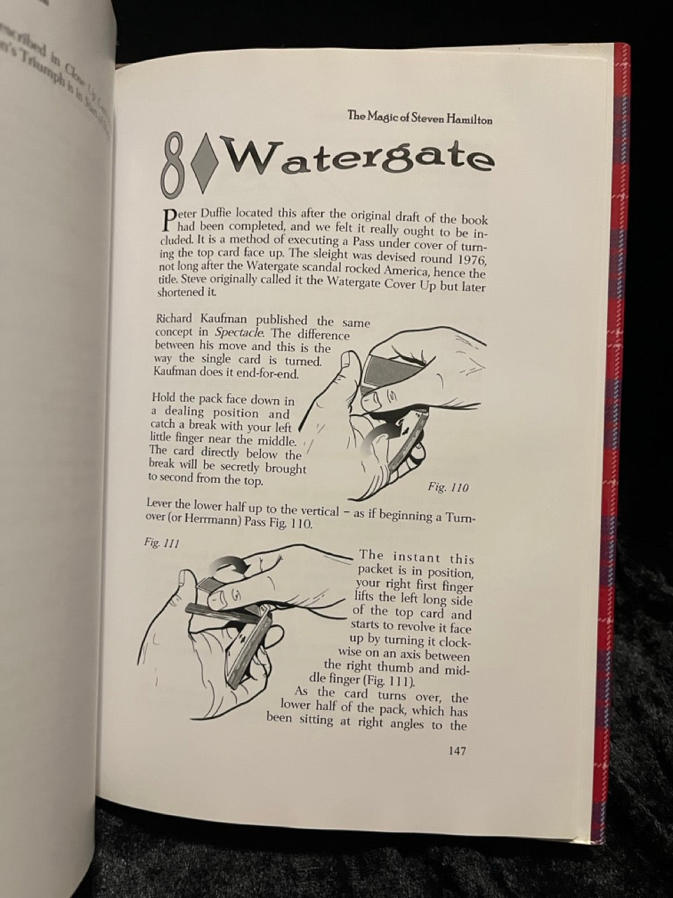 Steve Lindsey: The Magic of Steven Hamilton - Douglas Cameron