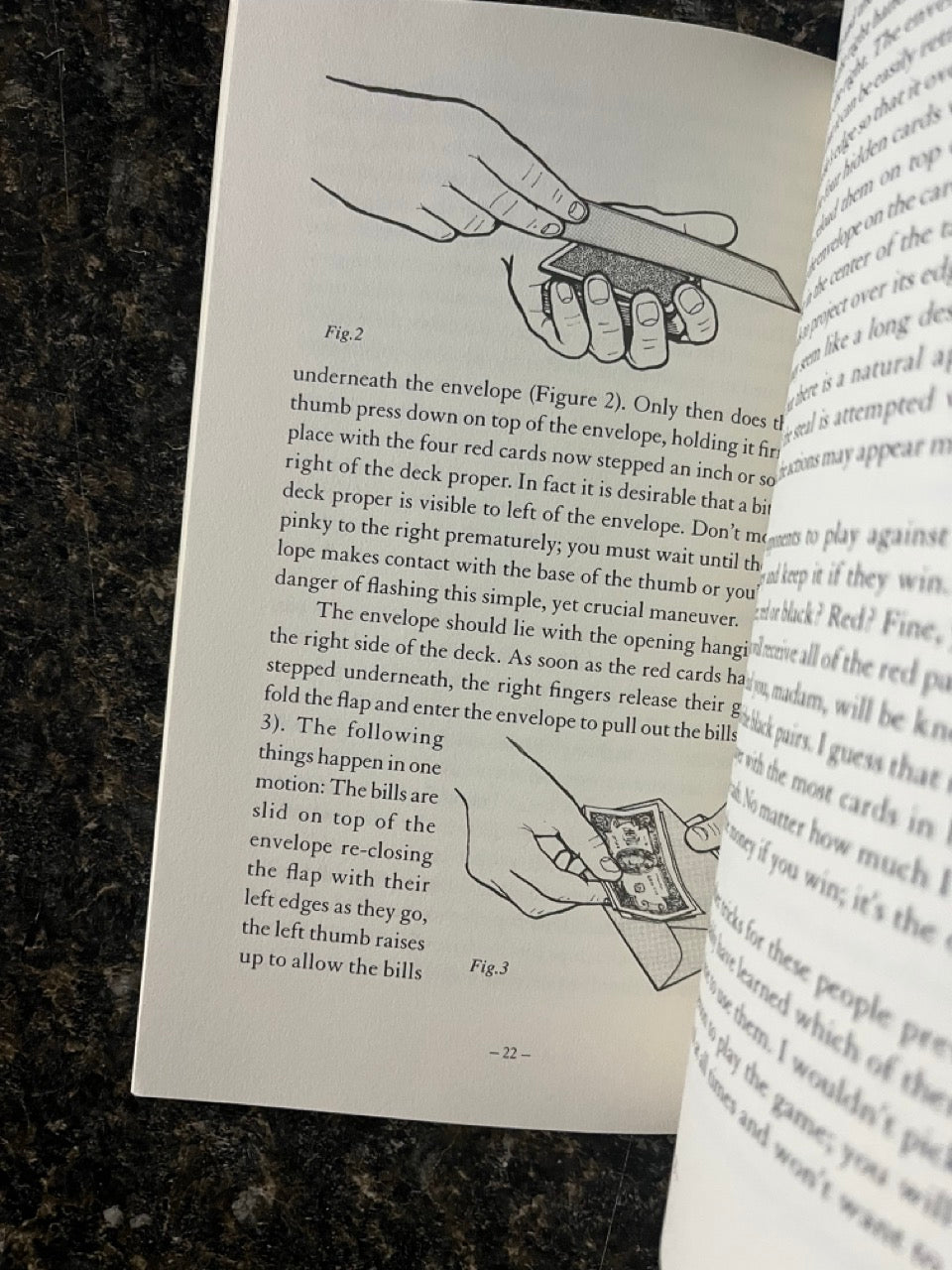 Aunt Mary's Terrible Secret - David Williamson