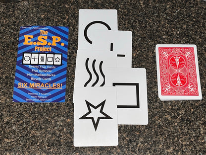 The E.S.P. Project - Nader Hanna & Brent Geris (SM6)