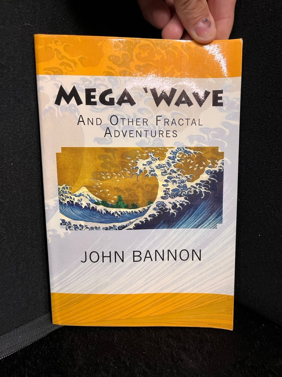 Mega 'Wave and Other Fractal Adventures - John Bannon
