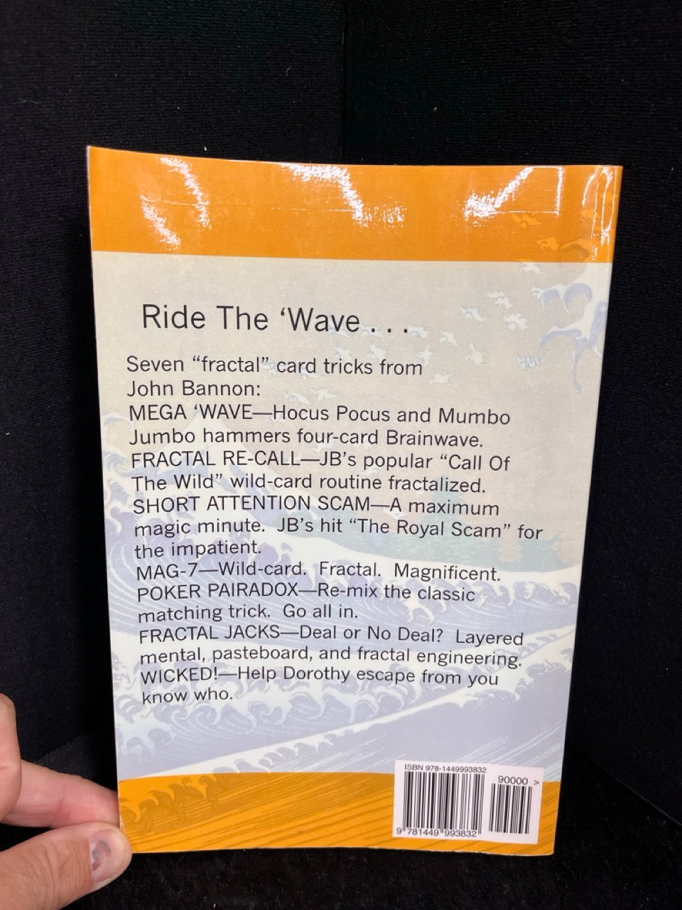 Mega 'Wave and Other Fractal Adventures - John Bannon