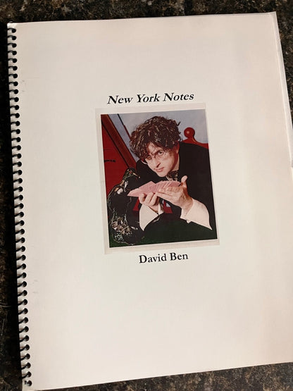New York Notes - David Ben - SIGNED