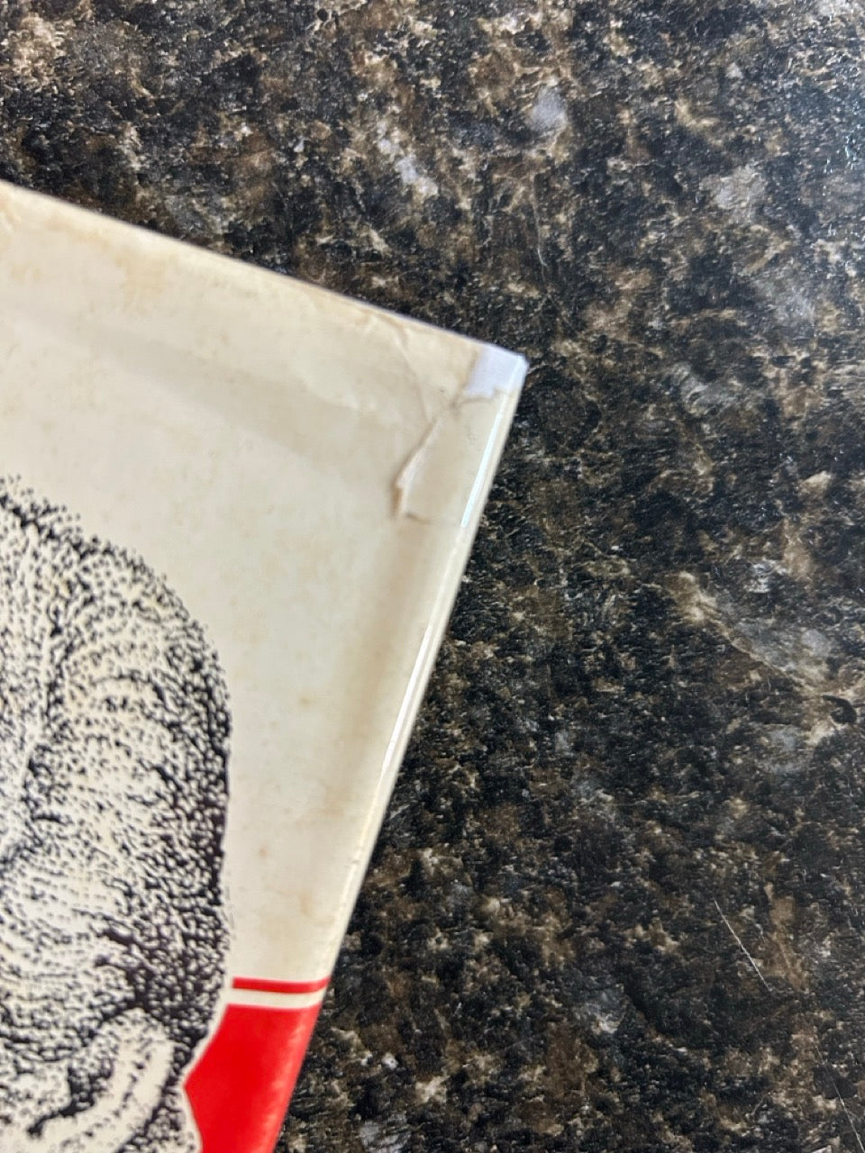 The Berg Book (w/ Brodart cover)