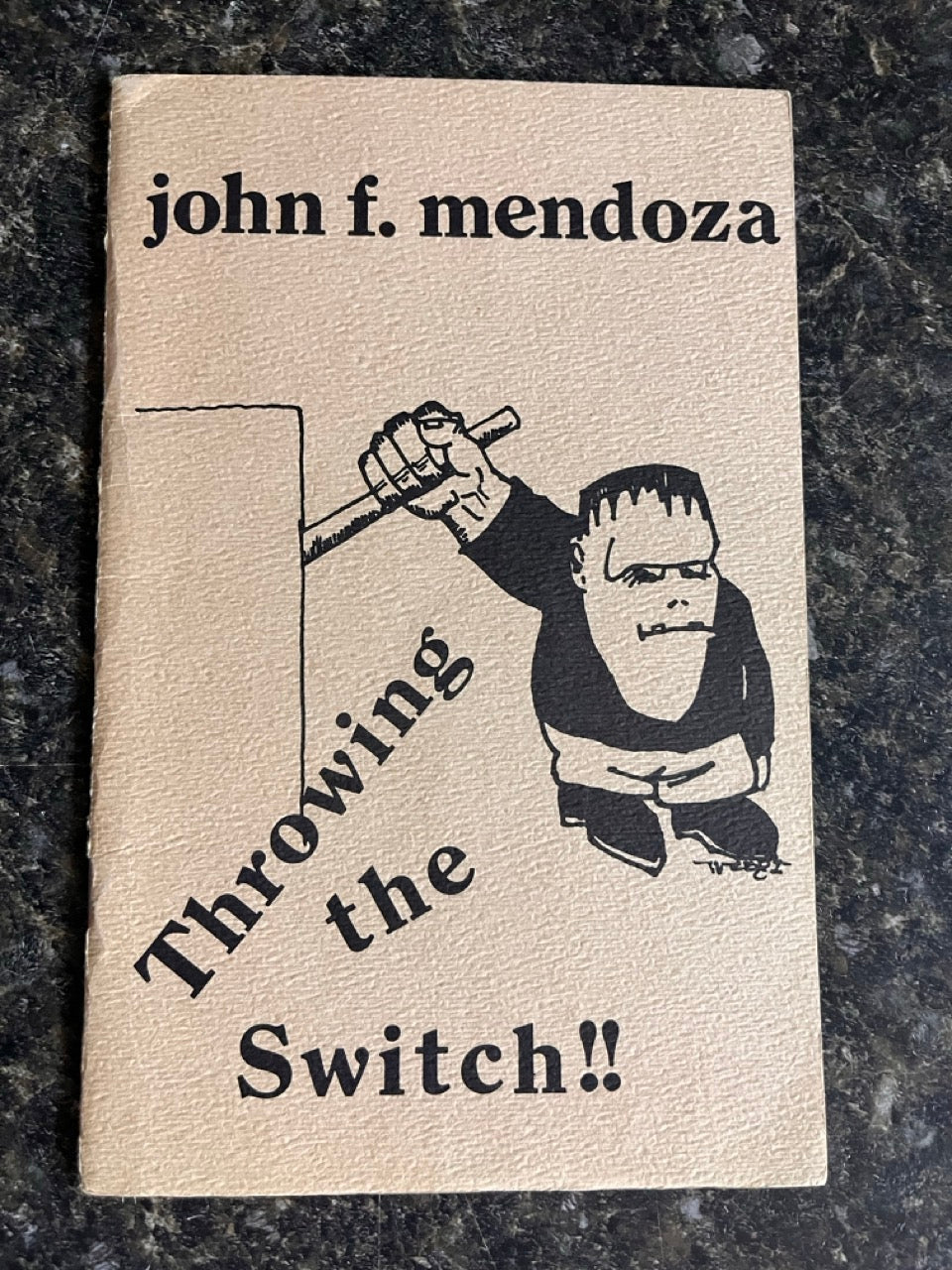 Throwing the Switch!! - John F. Mendoza