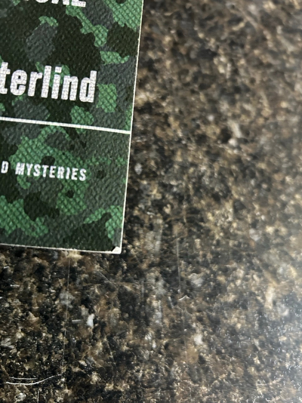 The Professional Mentalist's Field Manual - Richard Osterlind