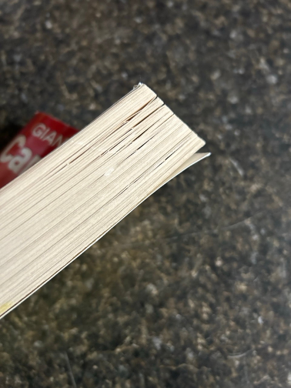Giant Book of Card Tricks - Bob Longe