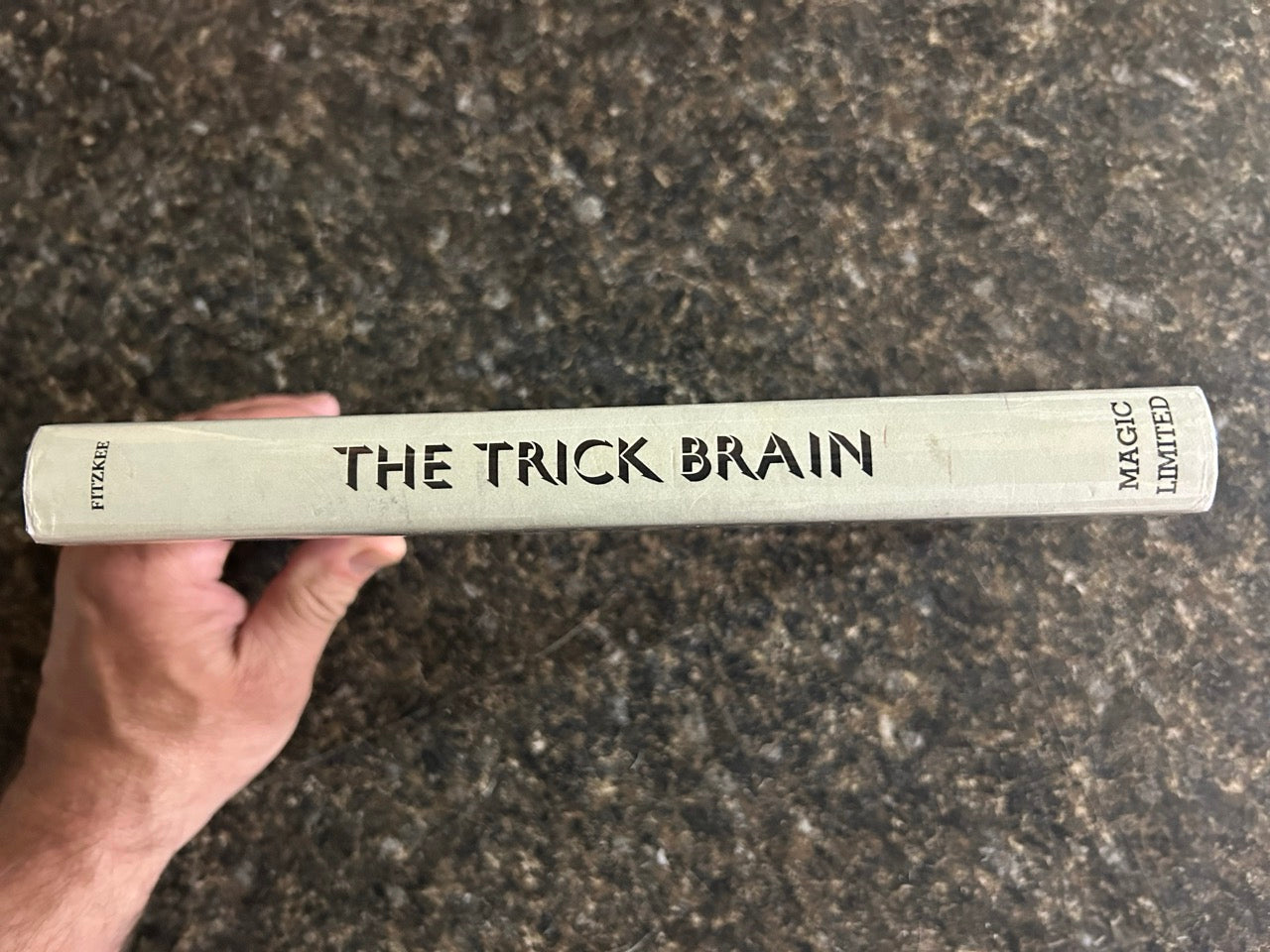 The Trick Brain - Dariel Fitzkee