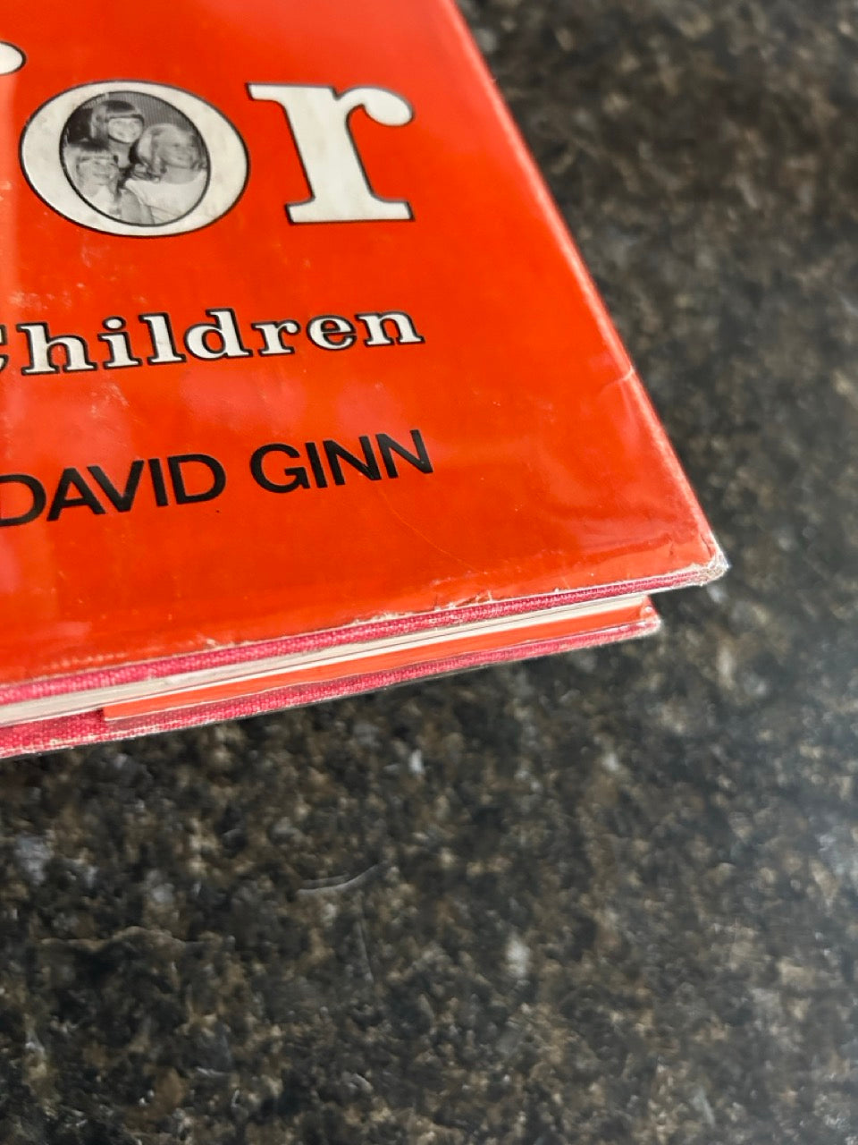Professional Magic for Children - David Ginn