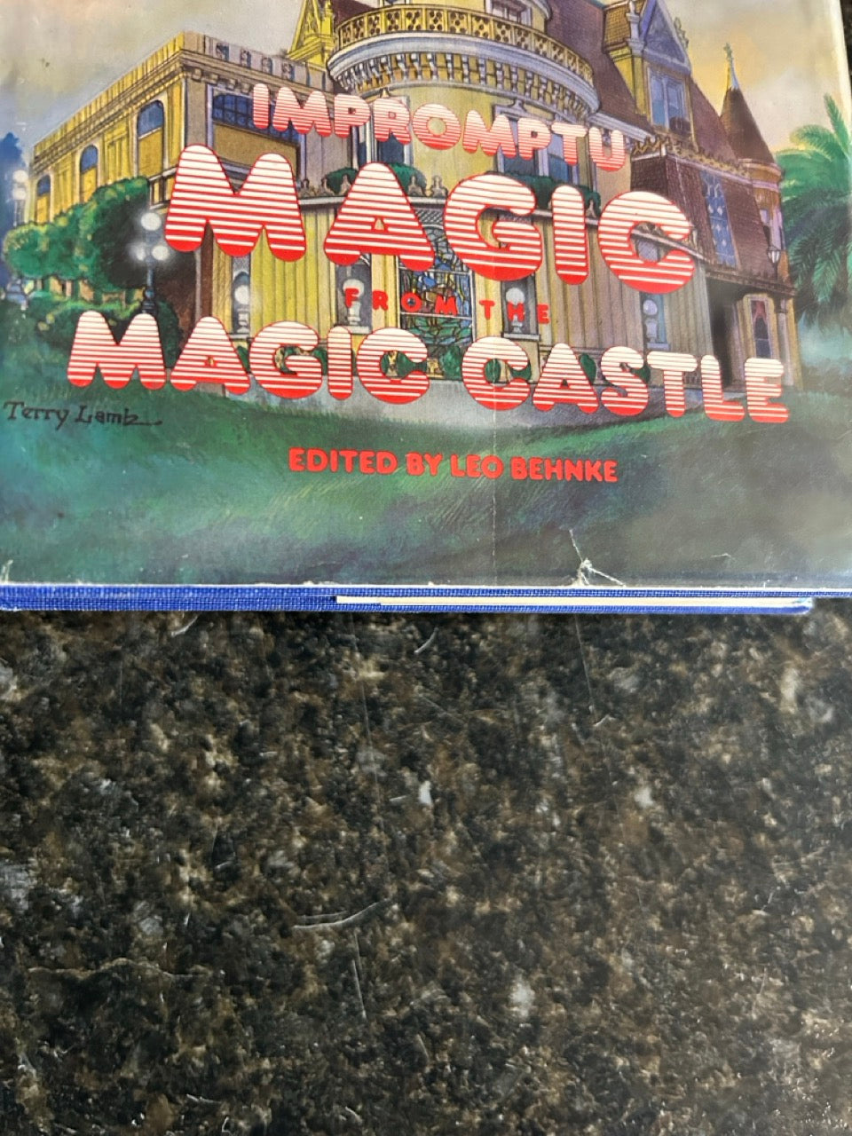 Impromptu Magic from the Magic Castle - Leo Behnke