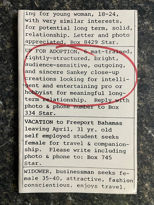 Up For Adoption - Jay Sankey