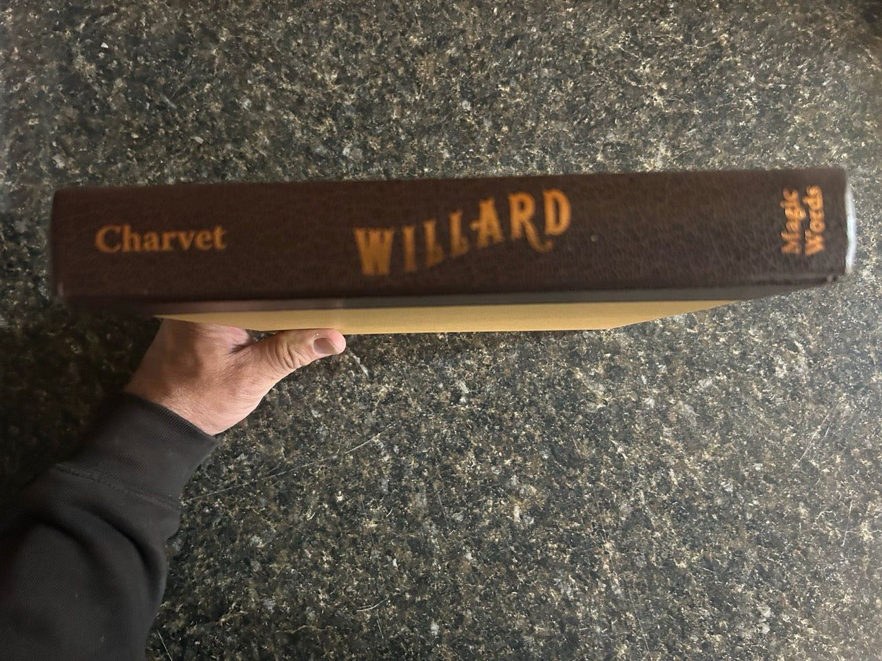 Willard: A Life Under Canvas - David Charvet