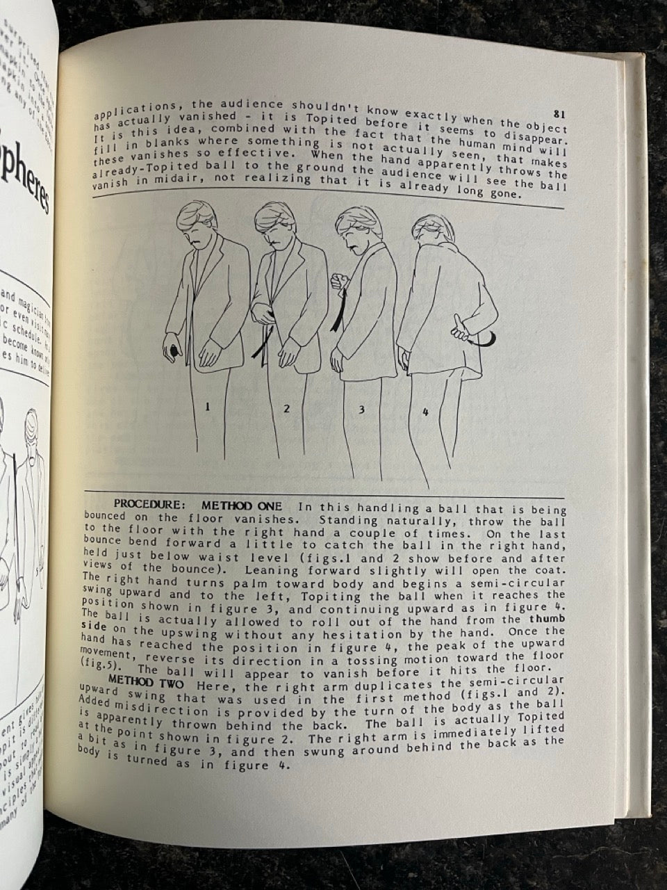 The Topit Book - Michael Ammar