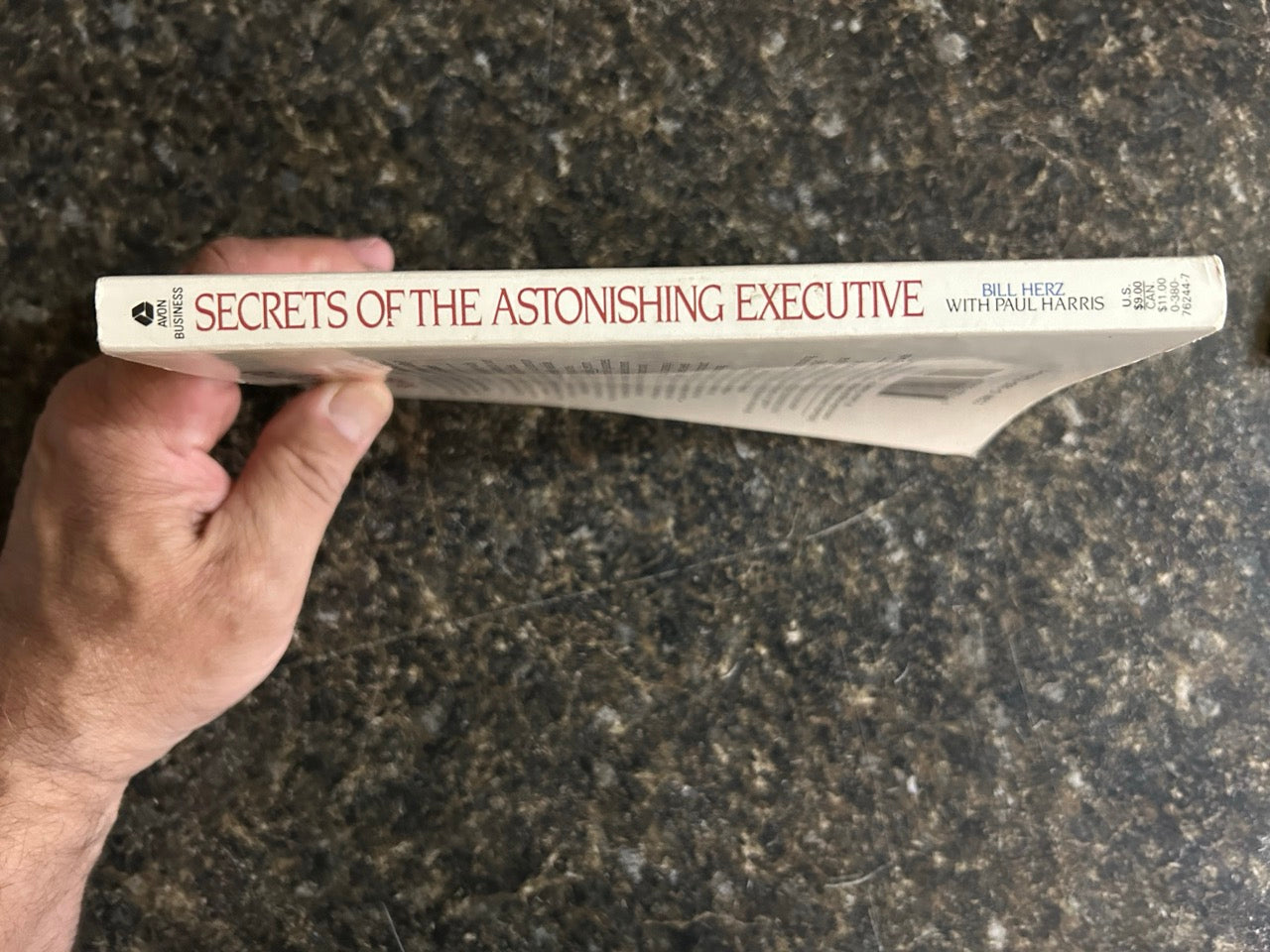 Secrets of the Astonishing Executive - Bill Herz & Paul Harris