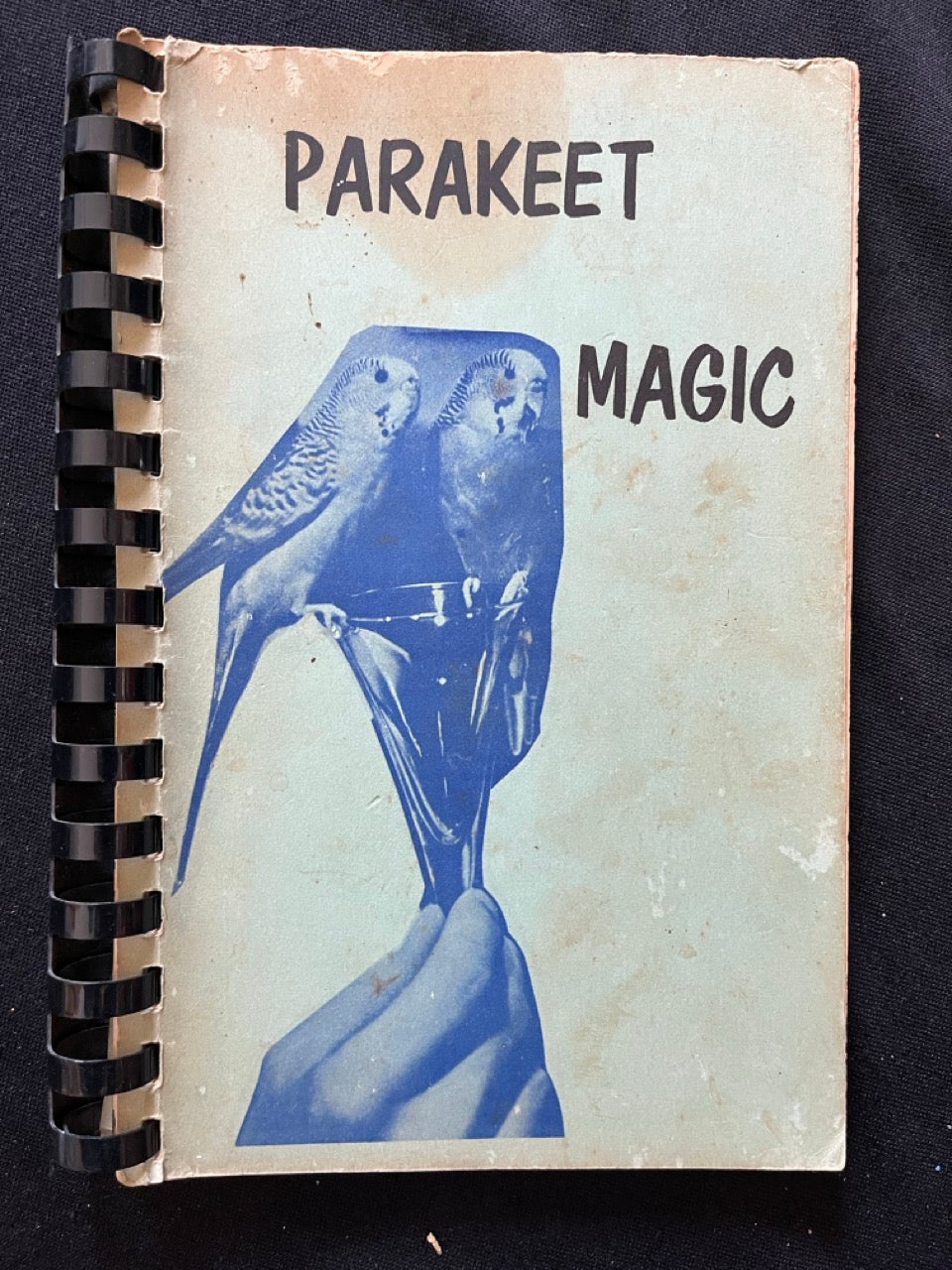 Parakeet Magic - Magic Inc.