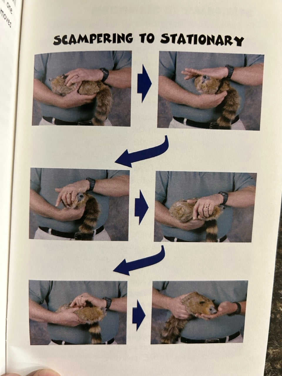 Spring Animals: Your Friends For Life (2005 ed.)- Larry Mahan