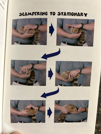 Spring Animals: Your Friends For Life (2005 ed.)- Larry Mahan