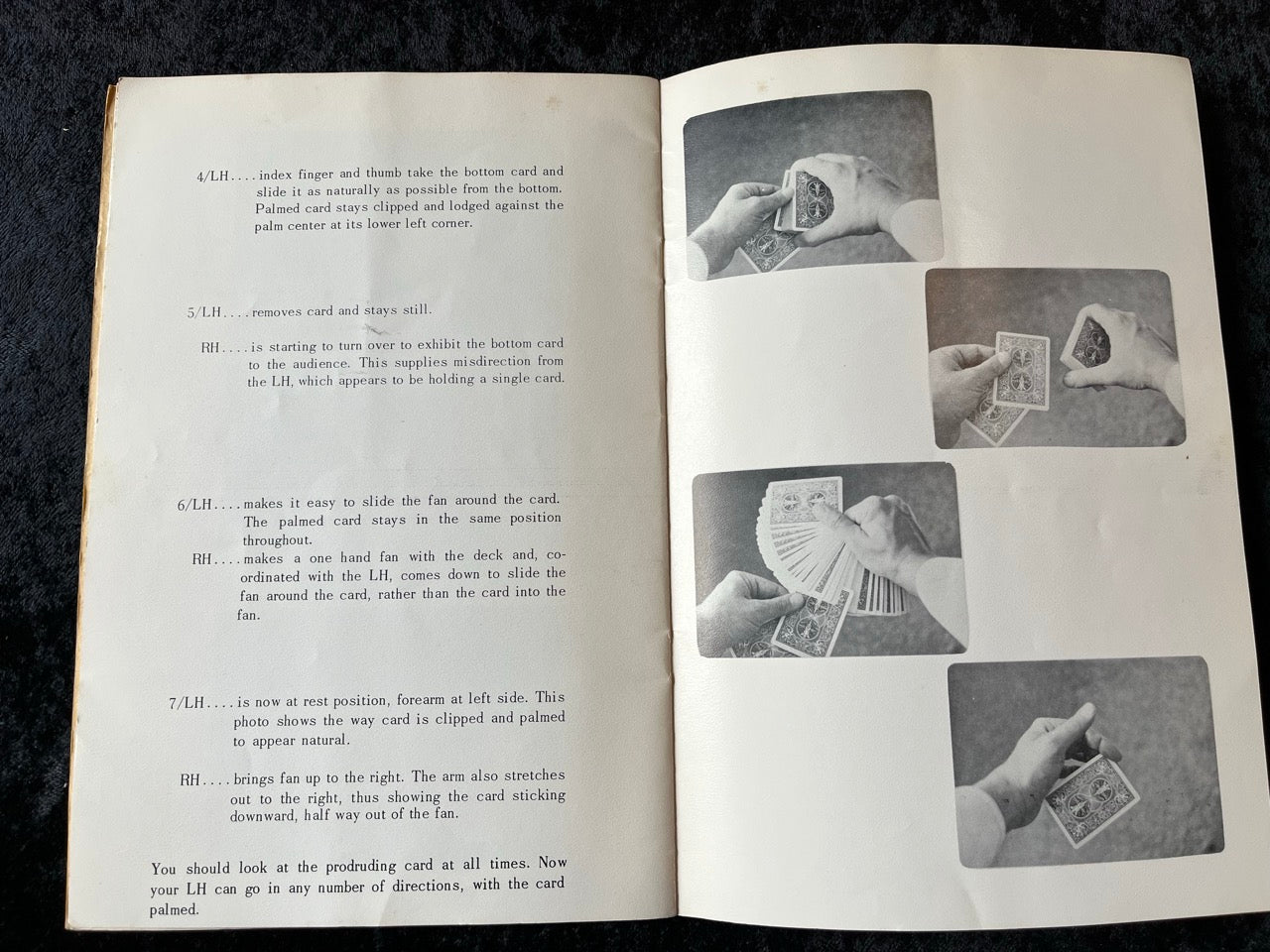 Palm Change 1 & 2 - Bill Wisch