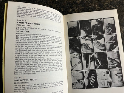 Berland's Twenty Tricks with Wiztax